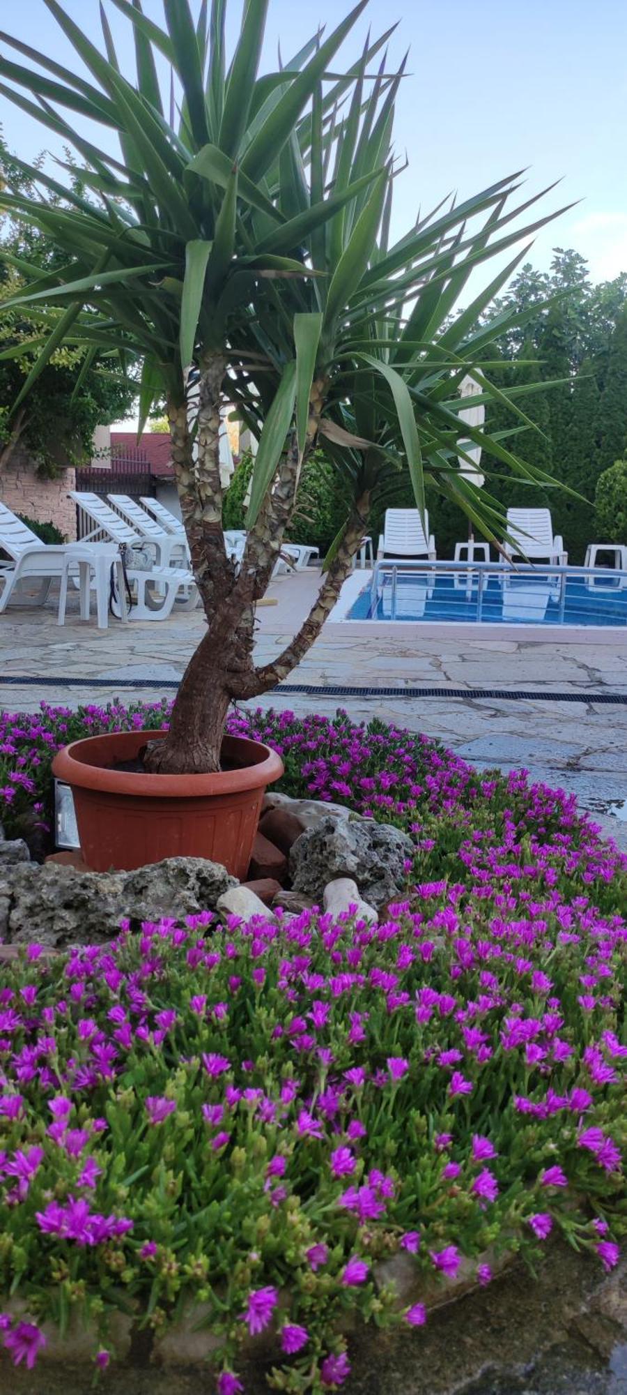 Guest House Palazzo Byala  Dış mekan fotoğraf